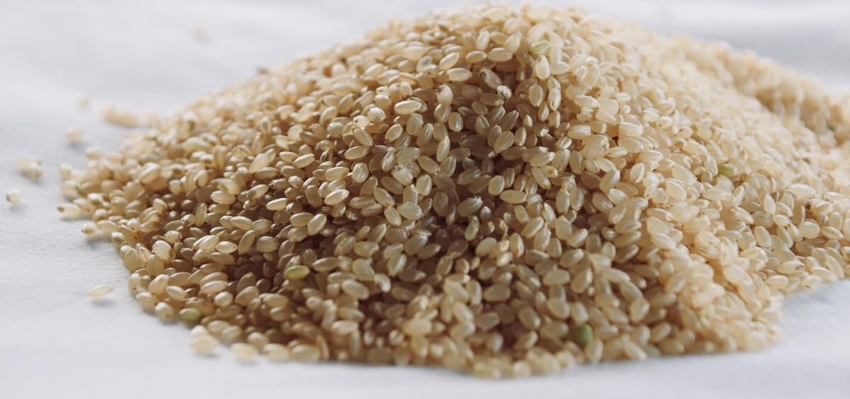 Amazon | MASYOME 玄米カイロ（お腹用）リバティ グレンジェイド
