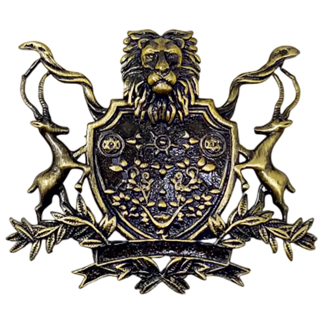 aamiya creations Vintage Brass Royal Crest BISHNOI logo Brooch-picture-21