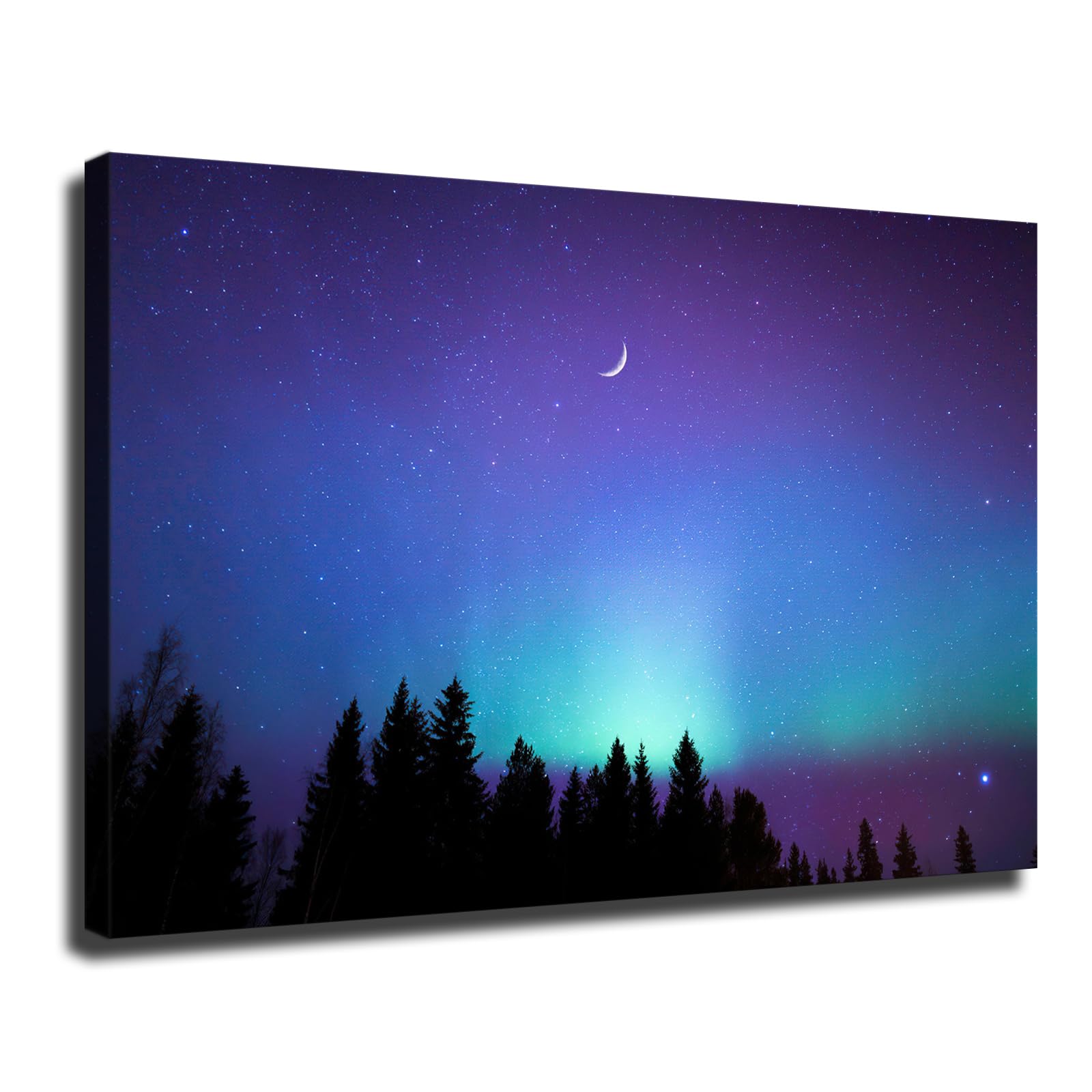 ObabO Beautiful Sky Universe Starry Night Wilderness Trees Poster Picture HD Wall Art Canvas Print Aesthetic Artwork for Bedroom Living Room Decor (Unframed,12x18inch)