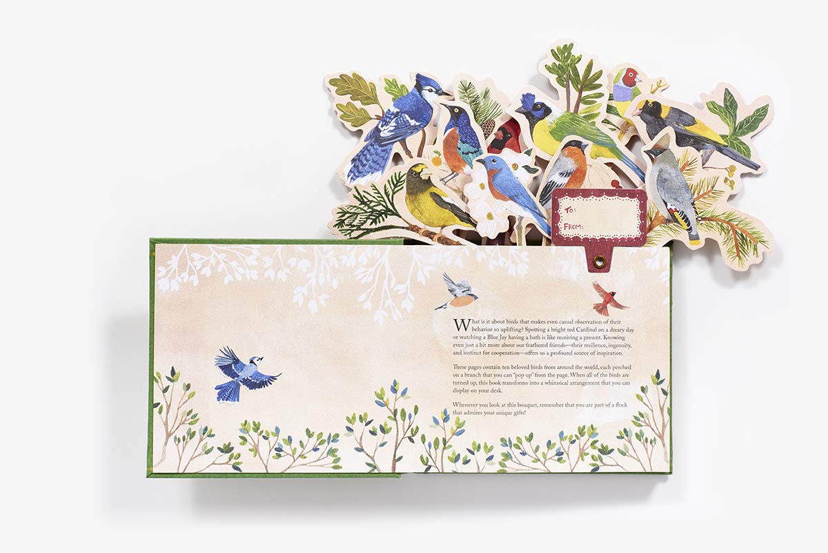 Birds In A Book. A Bouquet In A Book: Jacket Comes Off. Branches Pop Up. Display Like a Bouquet!