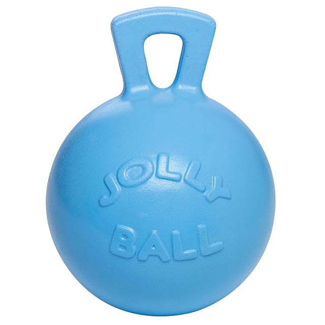 Foto 4 de 4 de Jolly Pets Pelotas De Juguete Para Perros Jolly Ball 20 cm Azul Caballo Y Perro