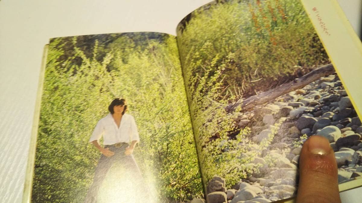 西城秀樹　いま、光の中で　悩むな、つきすすめ、青春 いま、光の中で : 悩むな、つきすすめ、青春(西城秀樹 著