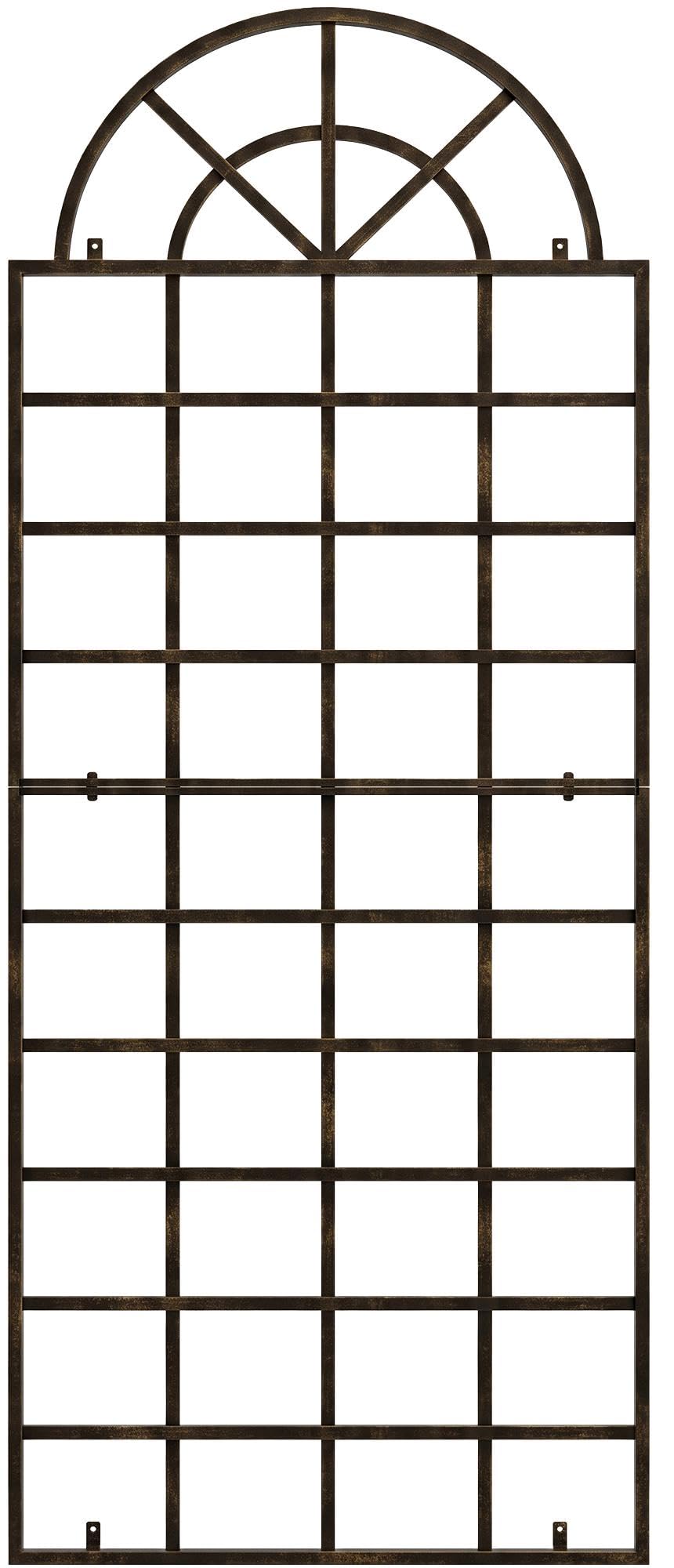 CLP Rankgitter Viva aus Eisen mit Rundbogen und integrierten Halterungen, ideale Kletterhilfe und Rankhilfe für Garten, Terrasse und Balkon | Farbe Bronze