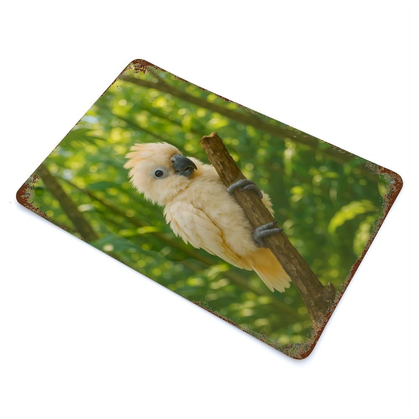 Rust Effect Cute Cockatoo Perched on Branch Vintage Rust Metal Sign 11.8"x7.9", Farmhouse Wall Decor for Basement, Hobby Room And Garage Decor