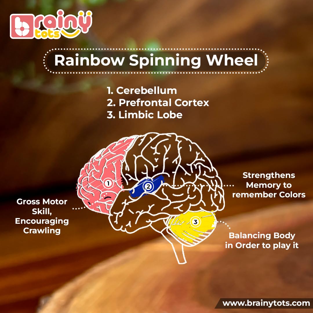 Brainytots Rainbow Spinning Wheel for Crawling | Educational Montessori Toy for Babies | Develops Gross Motor Skills & Color Recognition | Encourages Self-Awareness | for 3 to 12 Months Babies 3