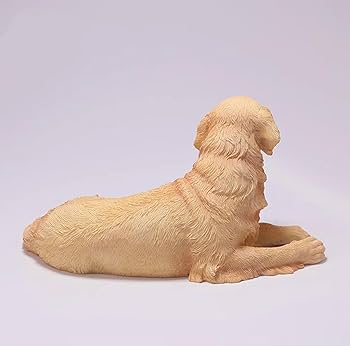 レトリバーページ 61gj1pB7t7L.jpg_BO30,255,255,