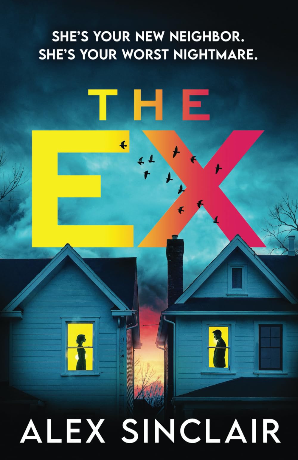 The Ex: A heart-racing psychological thriller packed with twists