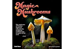 Unveil the Enchanting World of Fungi with Our 2024 Magic Mushrooms Wall Calendar