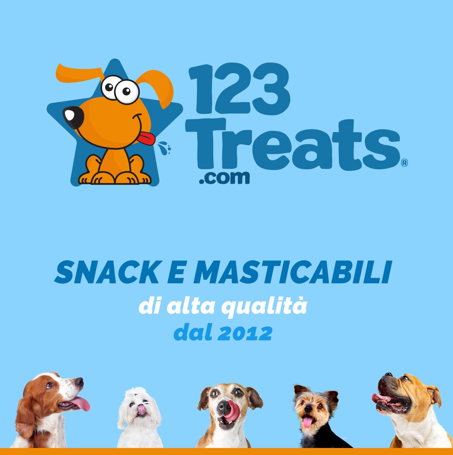 123 Treats - Premietti per cani con orecchie di maiale naturali al 100% (100 pezzi) Masticabili per cani con orecchie di maiale intere