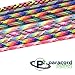 Paracord Planet 550lb Type III Paracord Combo Crafting Kits with Buckles for Friendship Bracelets and Craft Beginners (Tie Dye)