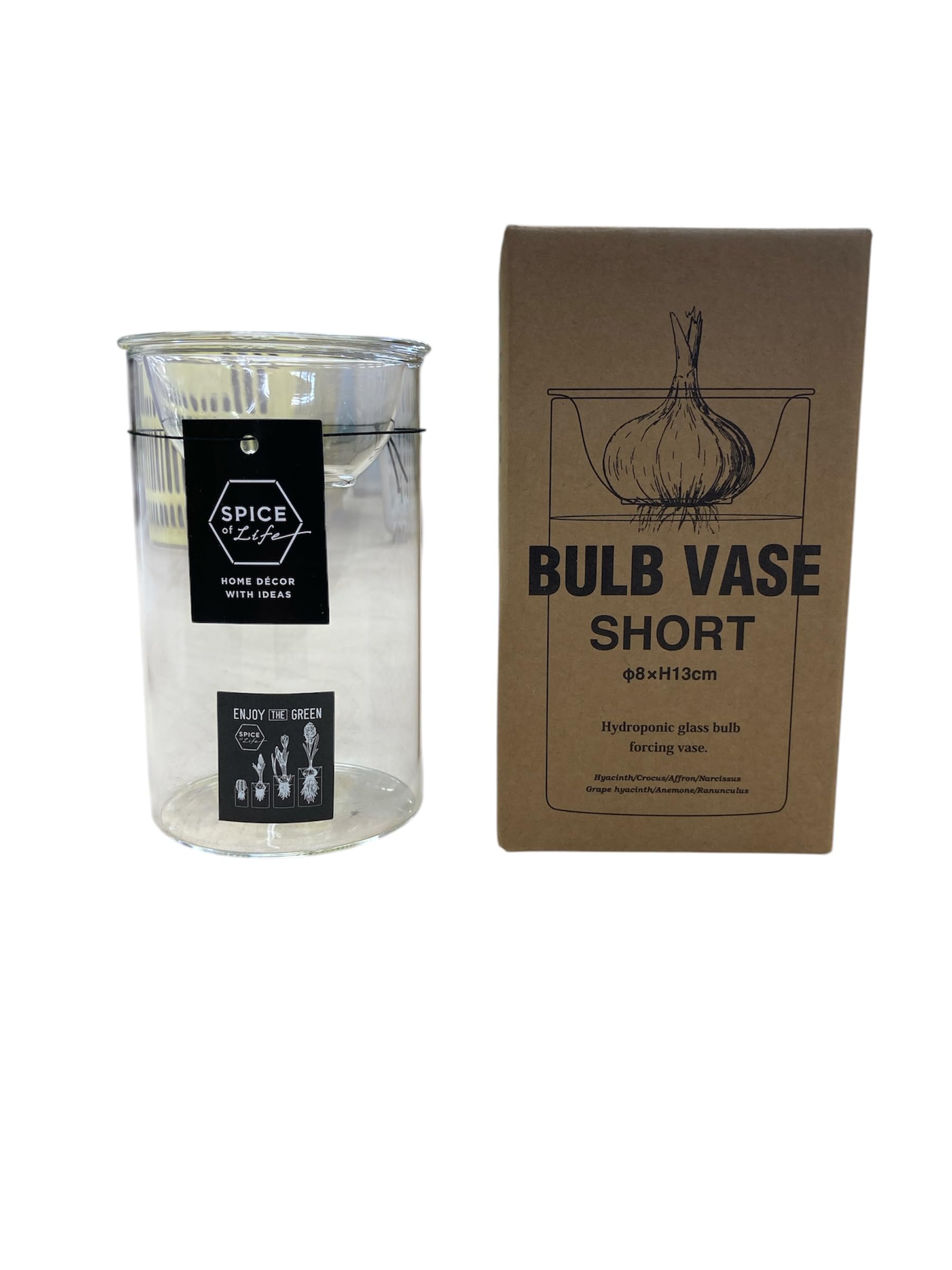 【4個セット】SPICE OF LIFE/スパイス・オブ・ライフ BULB VASE 水栽培ガラスベース クリア ショート 花瓶 KEGY4060