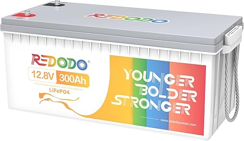 Redodo Batería LiFePO4 de 12 V 300 Ah integrada de 200 A BMS, máx. 2560 W de potencia de salida, 4000-15000 ciclos profundos y vida útil de 10 años,