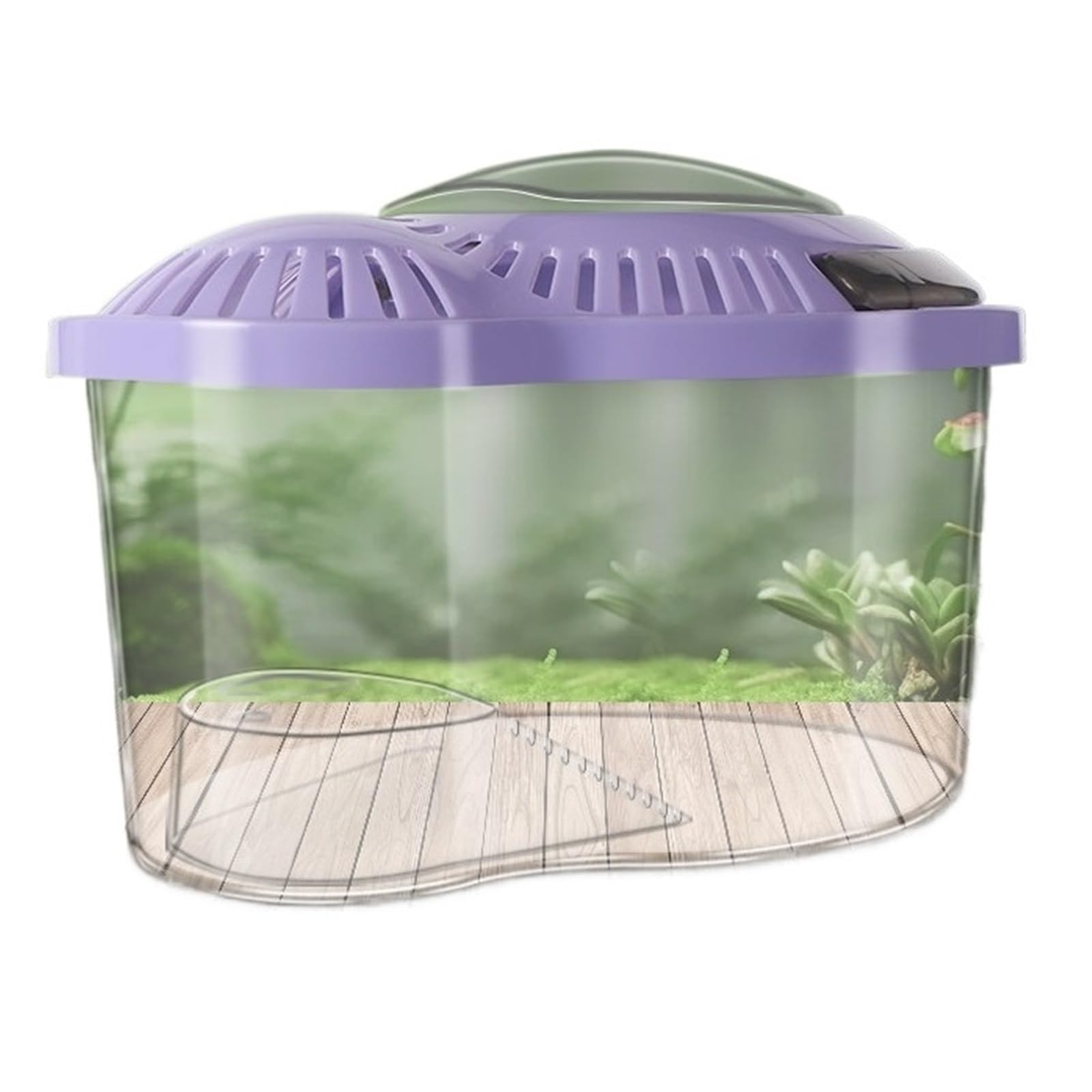 Réservoir de tortue portatif avec plateforme de bronzage pour balcon et salon familial
