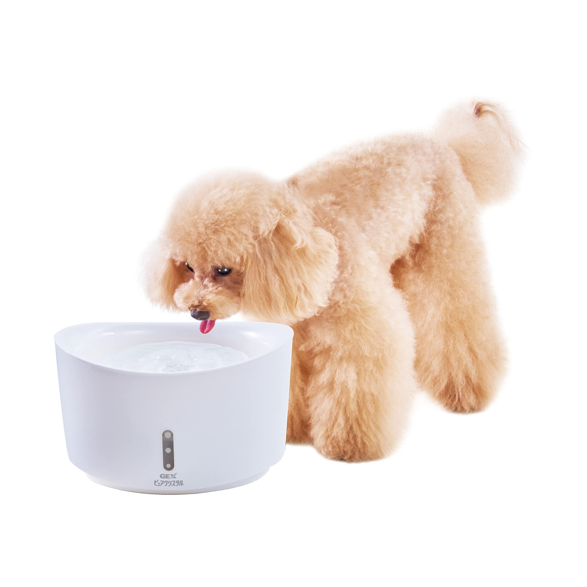 くり　おすましちび犬　水色 ピュアクリスタルプチ800ml犬用ホワイト | ペット用品（犬