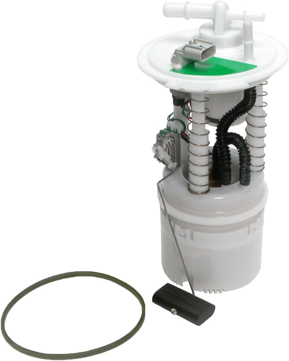 Delphi FG0428 Fuel Pump Module
