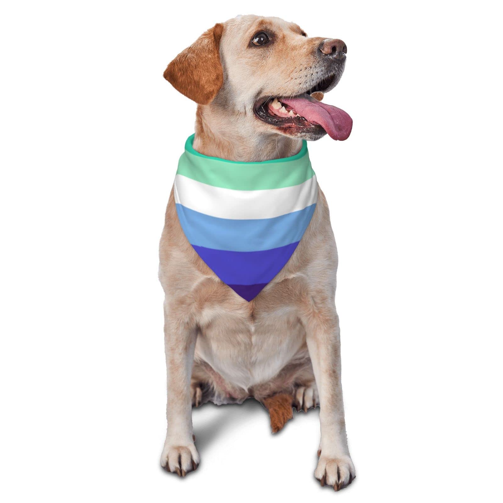 Regenbogen-Hundehalstücher Wendbar – LGBT+ Pride Bandana Für Kleine Bis Große Hunde
