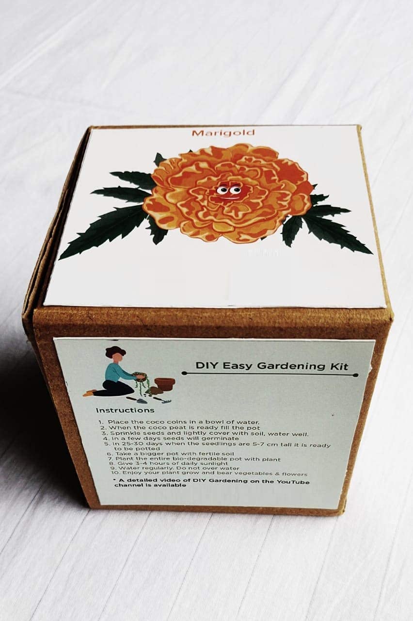 ® HAU664 Marigold (African) Spinning Wheels Amazon.in Garden & Outdoors