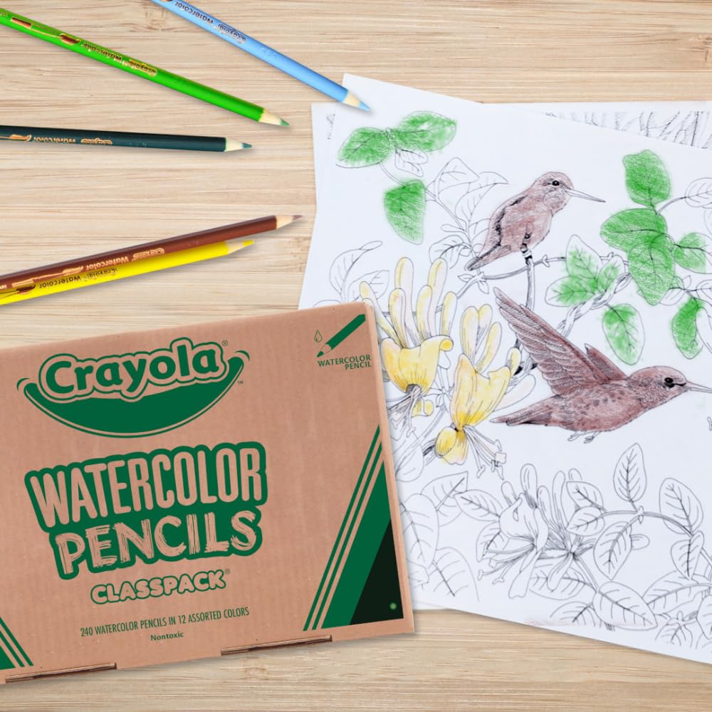 CRAYOLA Classpack Aquarellstifte, 240 Karat, je 20 Stück in 12 Farben, ideal für Klassenzimmer, Bildung, Kunstwerkzeuge
