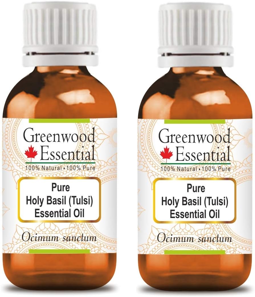 Greenwood Essential Pure Holy Basil Essential Oil (Ocimum Sanctum) 100ml x2
