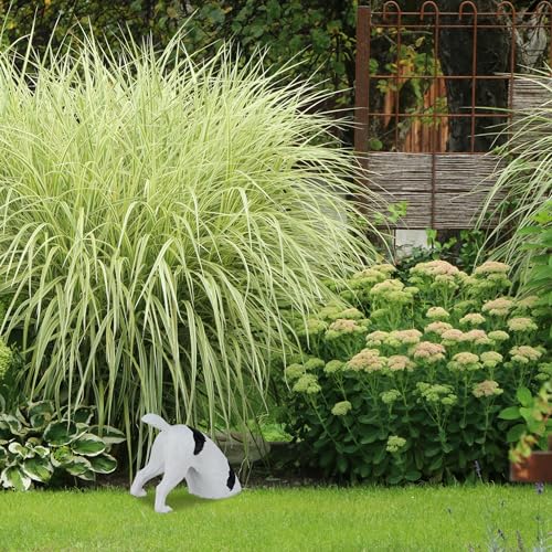 Relaxdays Gartenfigur Hund, buddelnder Terrier, HxBxT: 23 x 28 x 17 cm, Polyresin, wetterfeste Gartendeko, weiß/schwarz