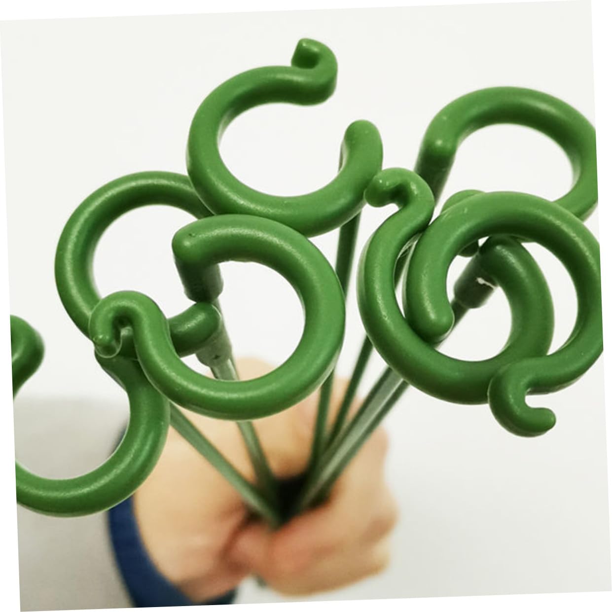 BESPORTBLE 60pièces Tuteurs De Support pour Plantes Succulentes Piquets pour Orchidées Et Fleurs Supports Fixes Résistants Aux Intempéries