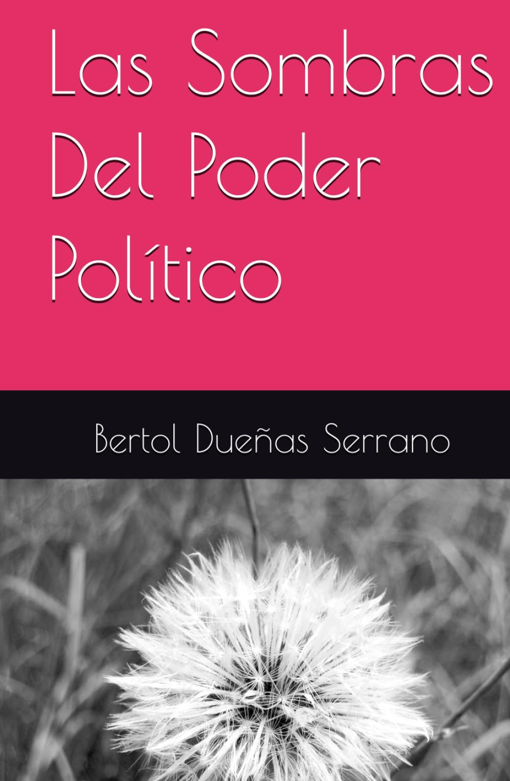 Las Sombras Del Poder Político