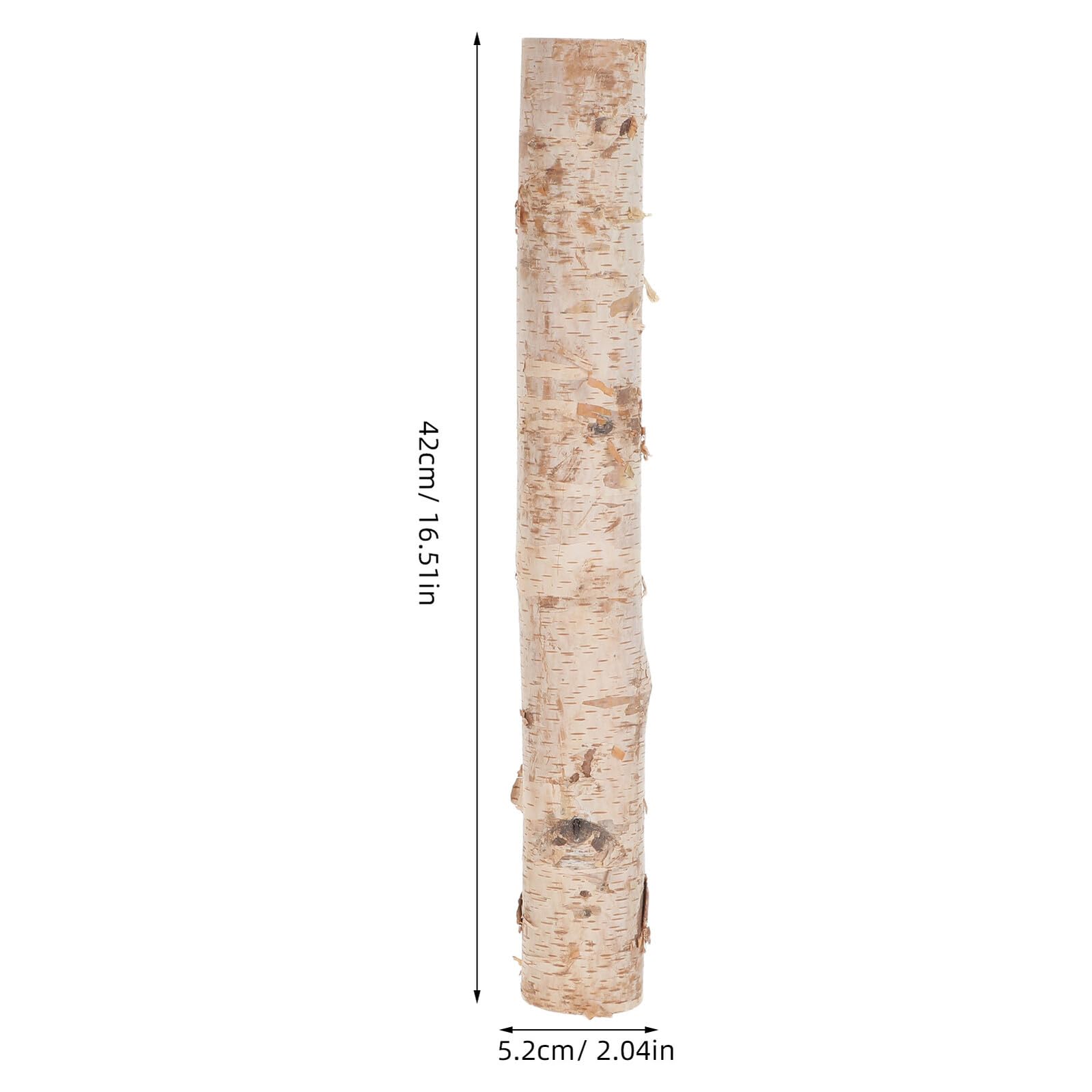 Gatuida 2 Pezzi Tronchetti di Legno di Betulla Naturale Robusti e Decorativi per Decorazioni Natalizie e Artigianato, per Ufficio e Ambienti Rustici