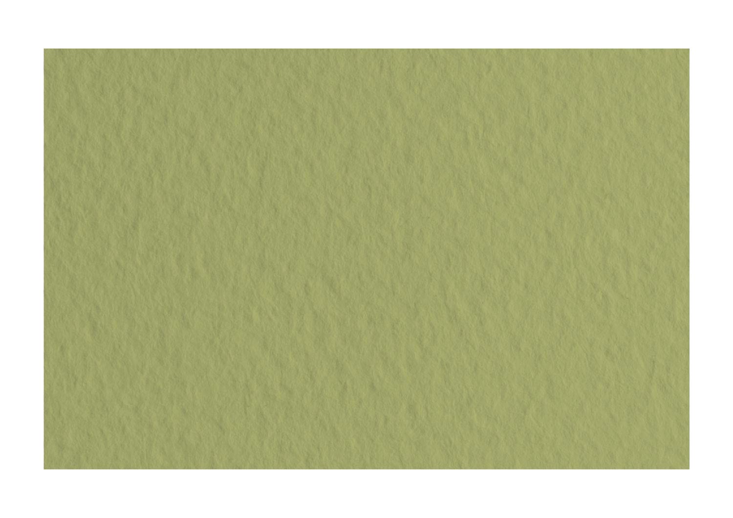 Fabriano Tiziano 21297114 - Carta pastello, formato DIN A4, 50 fogli, 160 g/m², altamente contenente, senza acidi e resistente all'invecchiamento, superficie ruvida