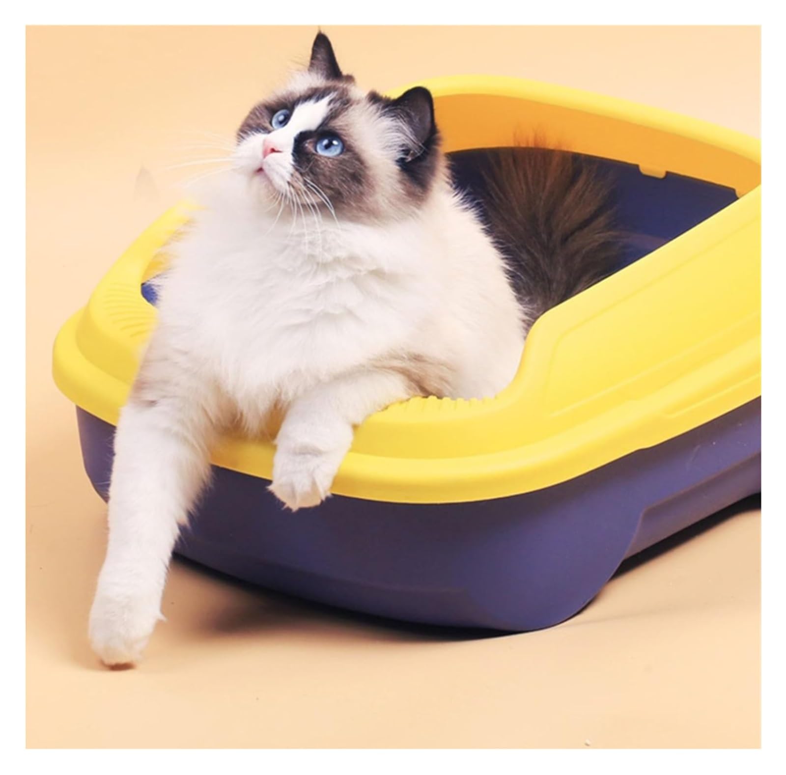 Katzentoilette mit hoher Seite, offene Oberseite, abnehmbare Katzentoilette, leicht zu reinigen, Kätzchen, Töpfchen, Toilette für drinnen (grün)