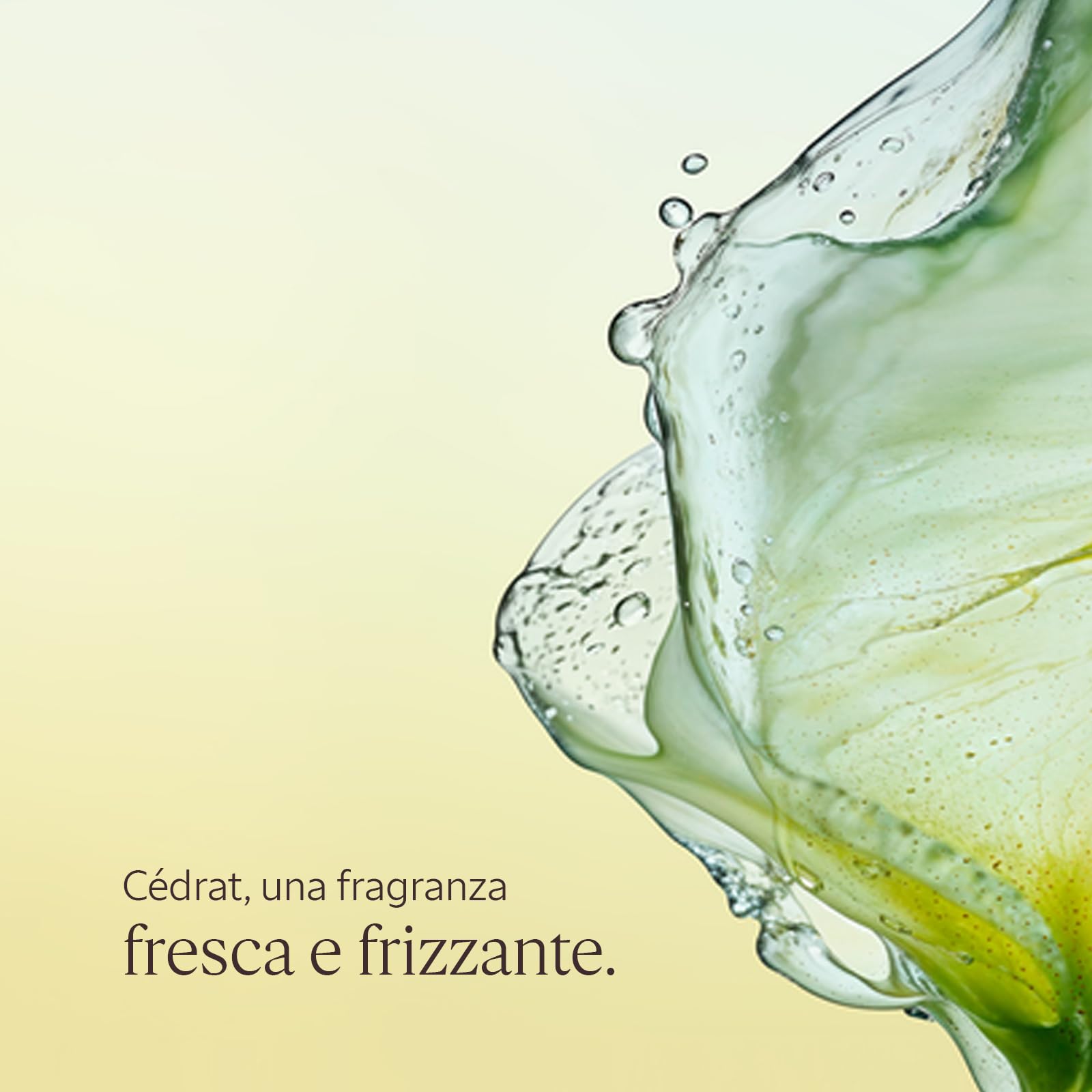 L'OCCITANE - Gel Crema Dopo Barba Cédrat - 75 ml - Idrata e riduce le irritazioni - Prodotto in Francia
