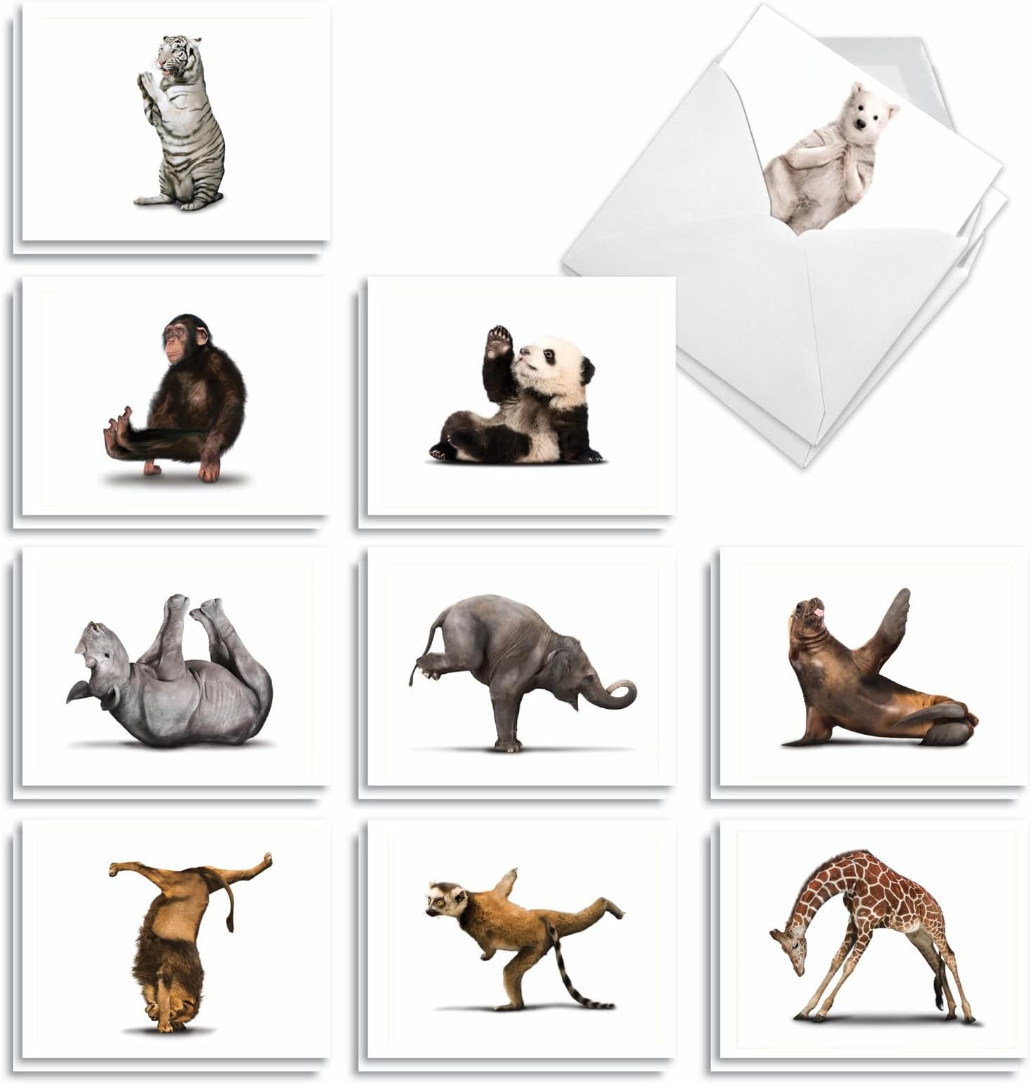 The Best Card Company20 Blank Yoga Animal Cards (4 x 5.12 Inch) - All Occasion Kids Set (10 Designs, 2 Each) - Zoo Yoga AM6547OCB-B2x10