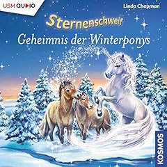Geheimnis der Winterponys Titelbild