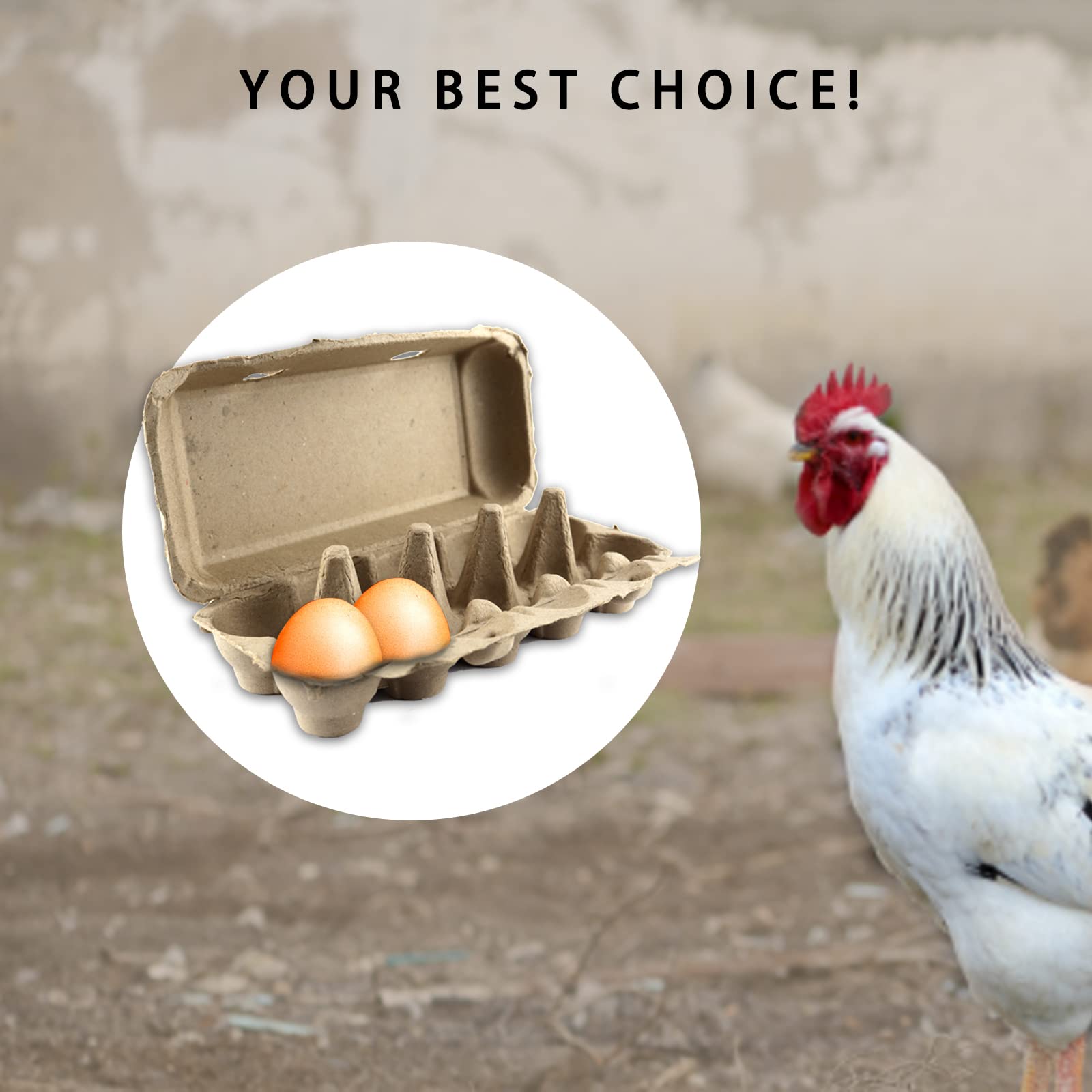 Boîtes à Œufs en Carton Boîte à Oeufs pour 10 Œufs Boîte à Œuf pour Grands | 10Pcs Boîte à Œufs en Carton de Protection | Pour 10 Grands Œufs | Pour Transport et Stockage Cuisine et Ferme