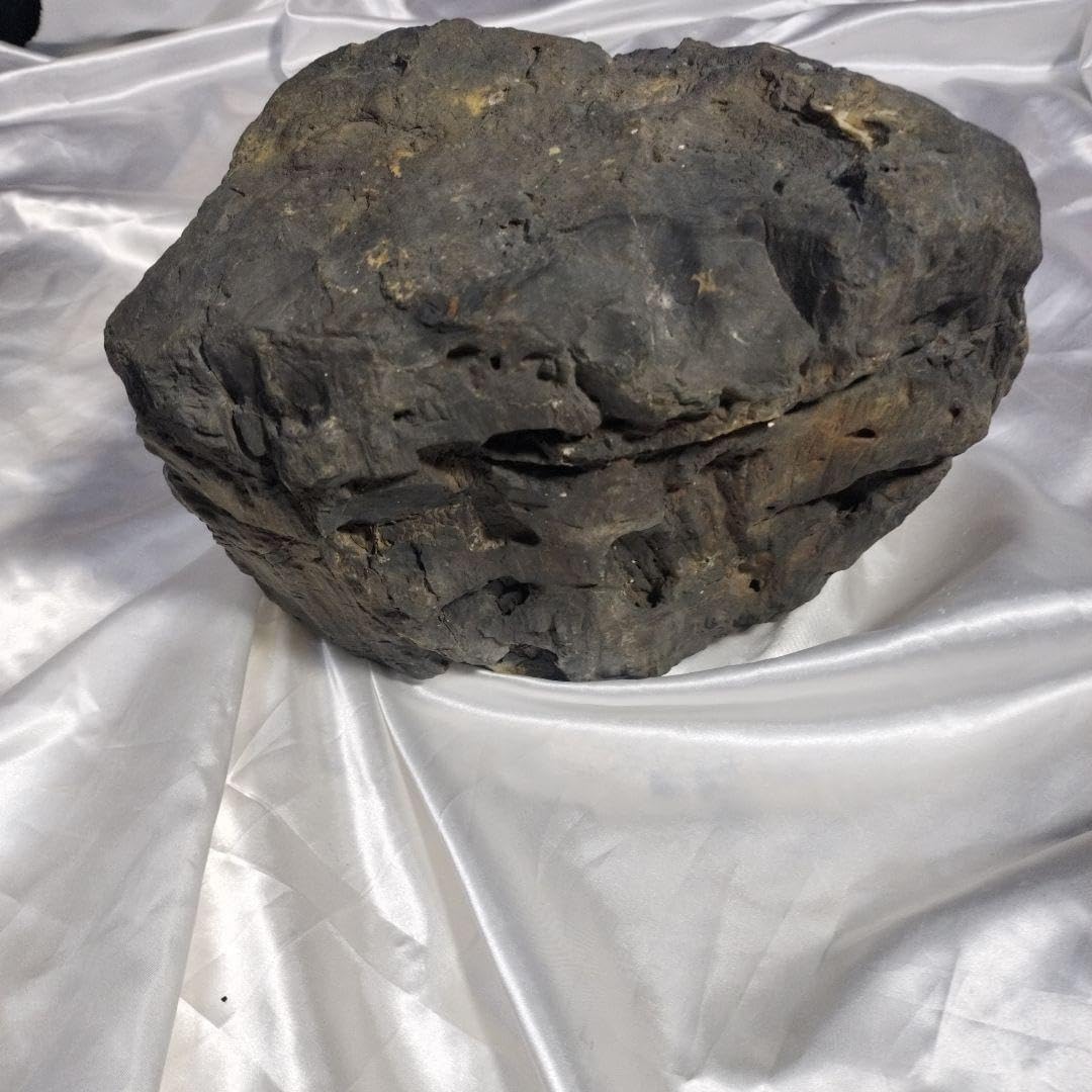 珪化木BIG 値下げ 高品質 レアカラー BIG ブルーペトリファイドウッド