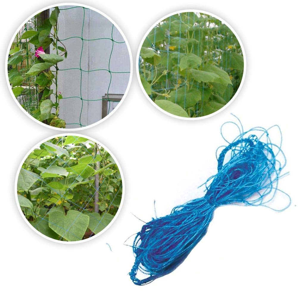 Agritech Vegitable Creeper net/Plant Climbing Support Net (2, 3mtr x 1.5 mtr)-image-6