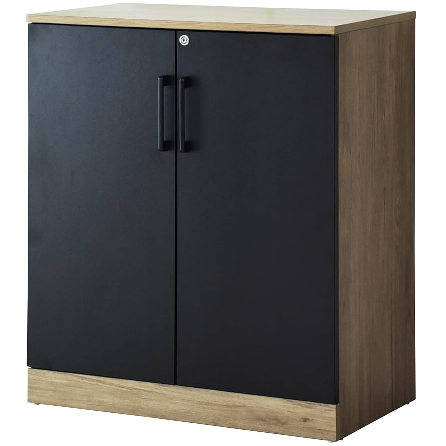 希少　保管庫　鍵付　スチール　ガラス　キャビネット　ラック　書庫　本棚　引き戸 希少 保管庫 鍵付 スチール ガラス キャビネット ラック 書庫