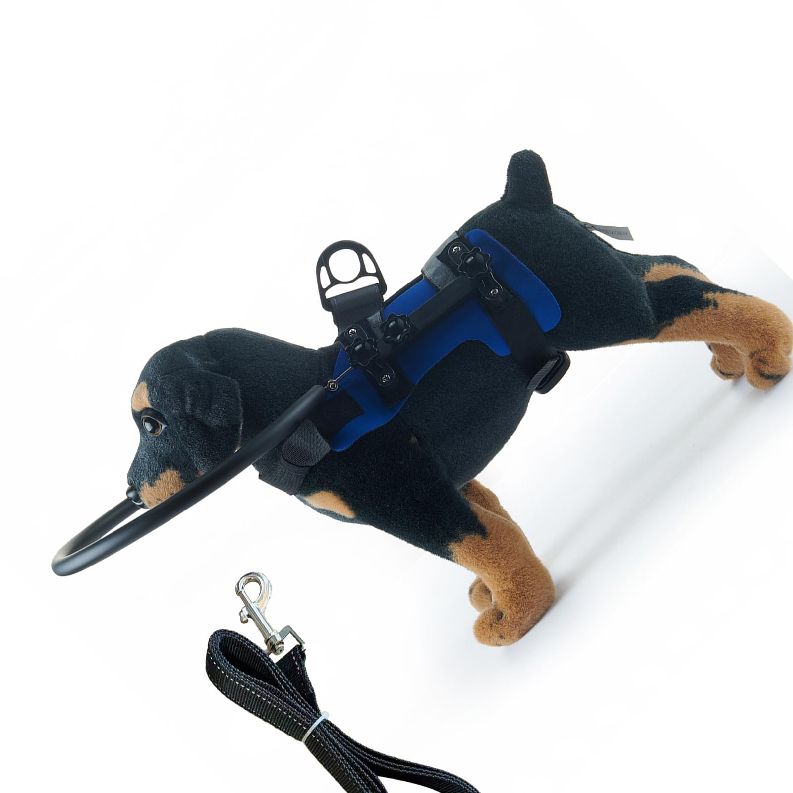 Harnais anti-collision pour chien aveugle : offrez-lui une liberté sûre