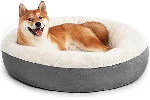 PoochPlanet Calming Donut Dog Bed: A Tranquil Haven for Your Furry Friend