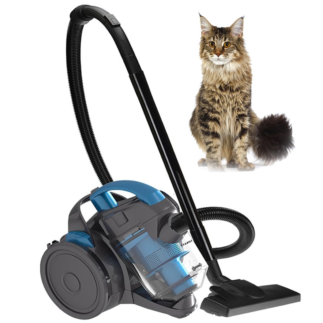 RJJWXSMGS Powerful Bagless Cylinder Vacuum Cleaner,Compact and Portable,Easy Empty Dust Container,Multi-Surface Cleaning,1.5 Litre Capacity,for Floor/Ceiling