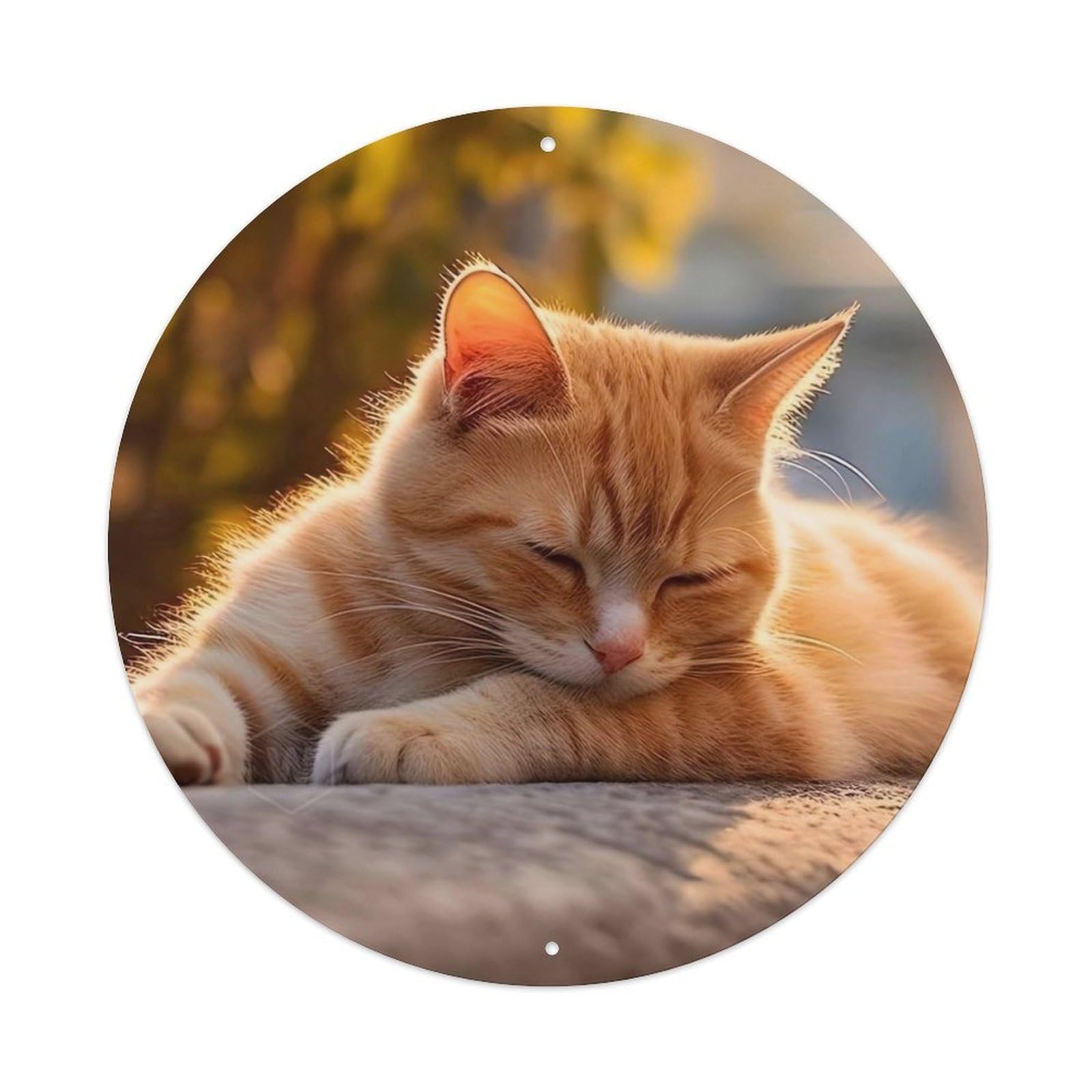 Cwbufd Vintage Style Animal Orange Tabby Cat Sleeping In Autumn Sunlight Cozy Pet Vintage Metal Tin Sign Plaque Wall Decor For Cafe, Club Bar, Office, Garden Metal Poster 8X8inch