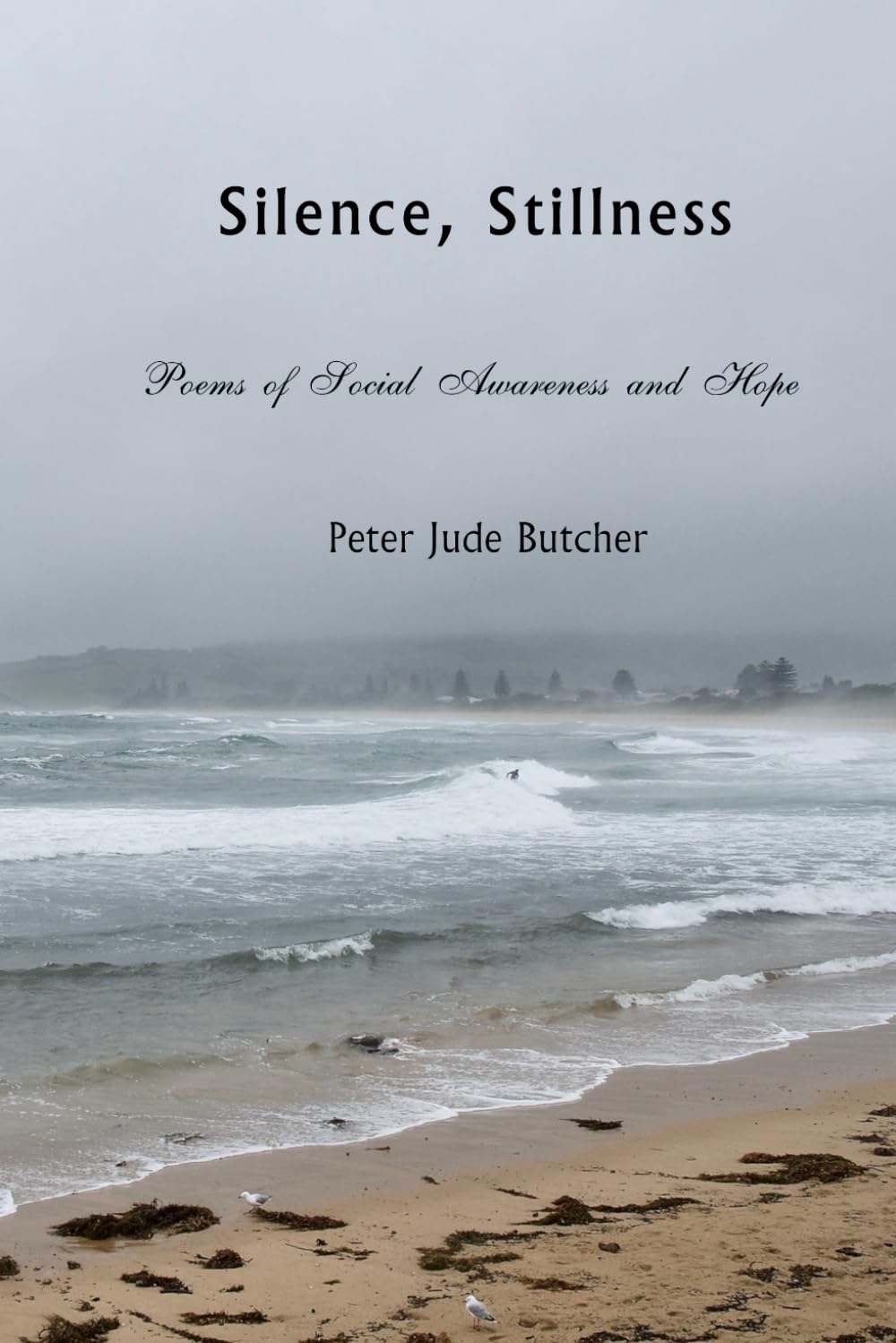 Silence, Stillness: Poems of Social Awareness and Hope