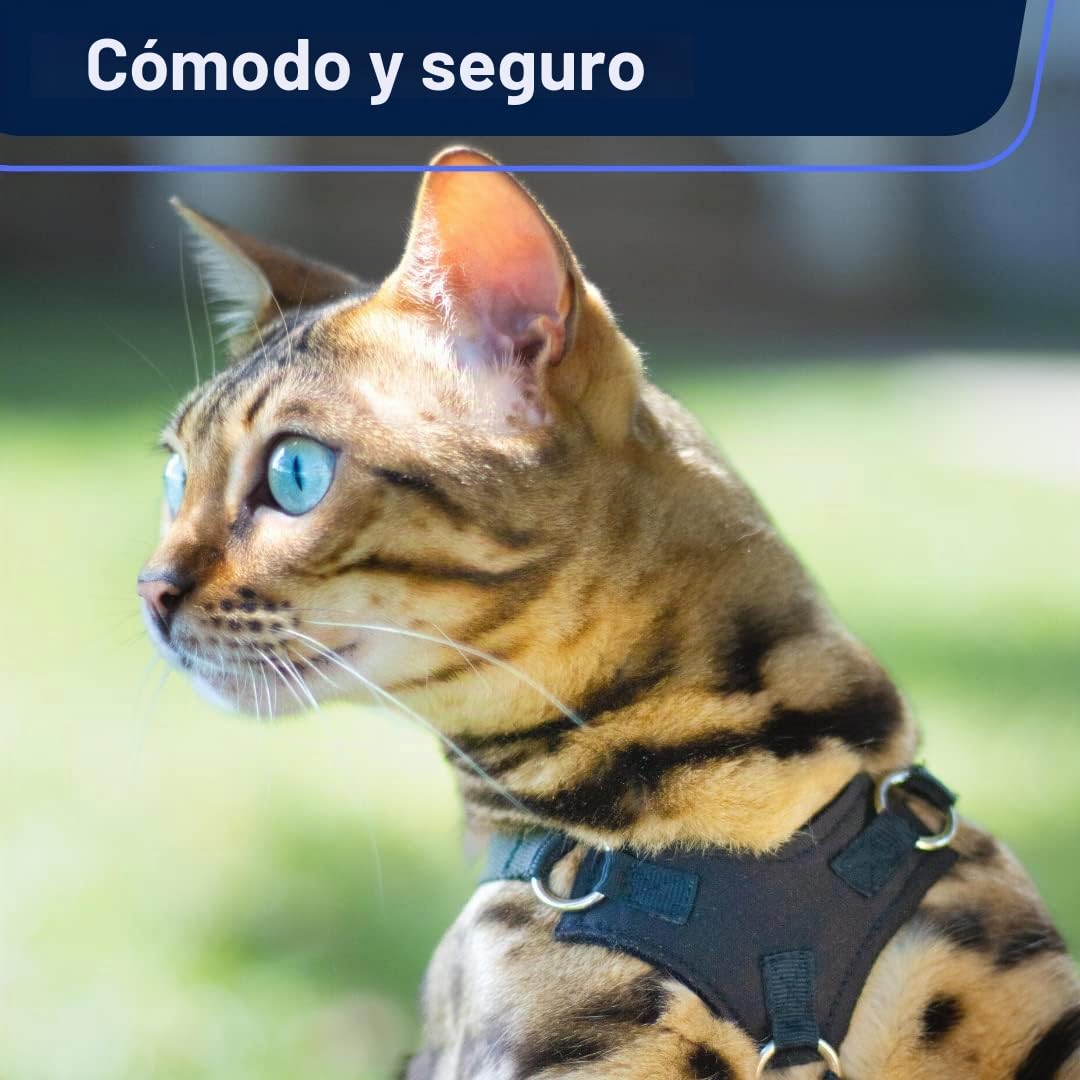 Houdini™ - Juego de arnés y Correa de Piel Vegana a Prueba de Escape para Gatitos de OutdoorBengal para pasear (S)