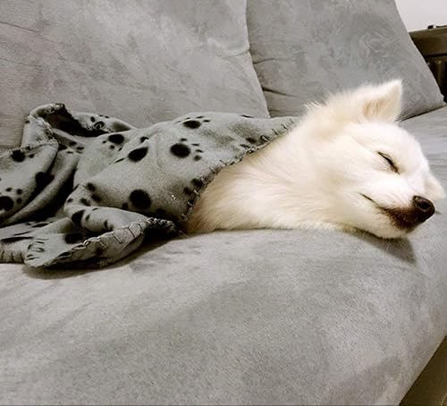 Miniatura 3 de Comsmart - Manta cálida con estampado de patas para perros y gatos, 6 unidades de 24 x 28 pulgadas