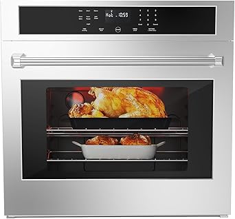 30 Inch Built-in Electric Wall Oven,4.8 Cu.Ft Stainless Steel with Self-Cleaning,Touch Glass Control & Child Safety Lock,3800W Convection System,Blue Enamel Interior