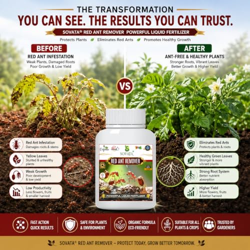 Image of Red Ant Remover, Essential Organic Powerful Liquid Insecticide for Removing all types of red ants and insects from Plants and soil. (100 ml)