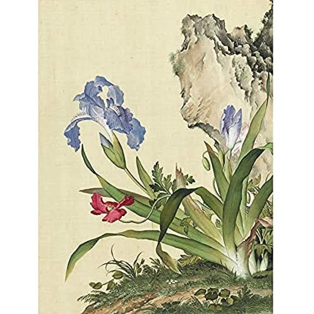 Castiglione Iris Flower Plant Painting Art Print Canvas Premium Wall Decor Poster Mural