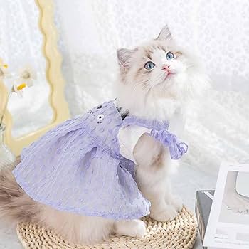 Amazon | [JUI3N] L 犬 ブルー 猫 ワンピース 犬服 お姫様 スカート