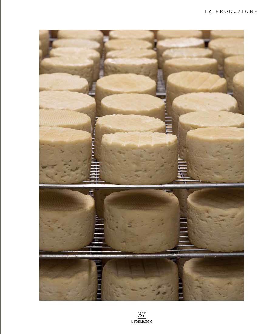 Il formaggio. Come sceglierlo, degustarlo e cucinarlo