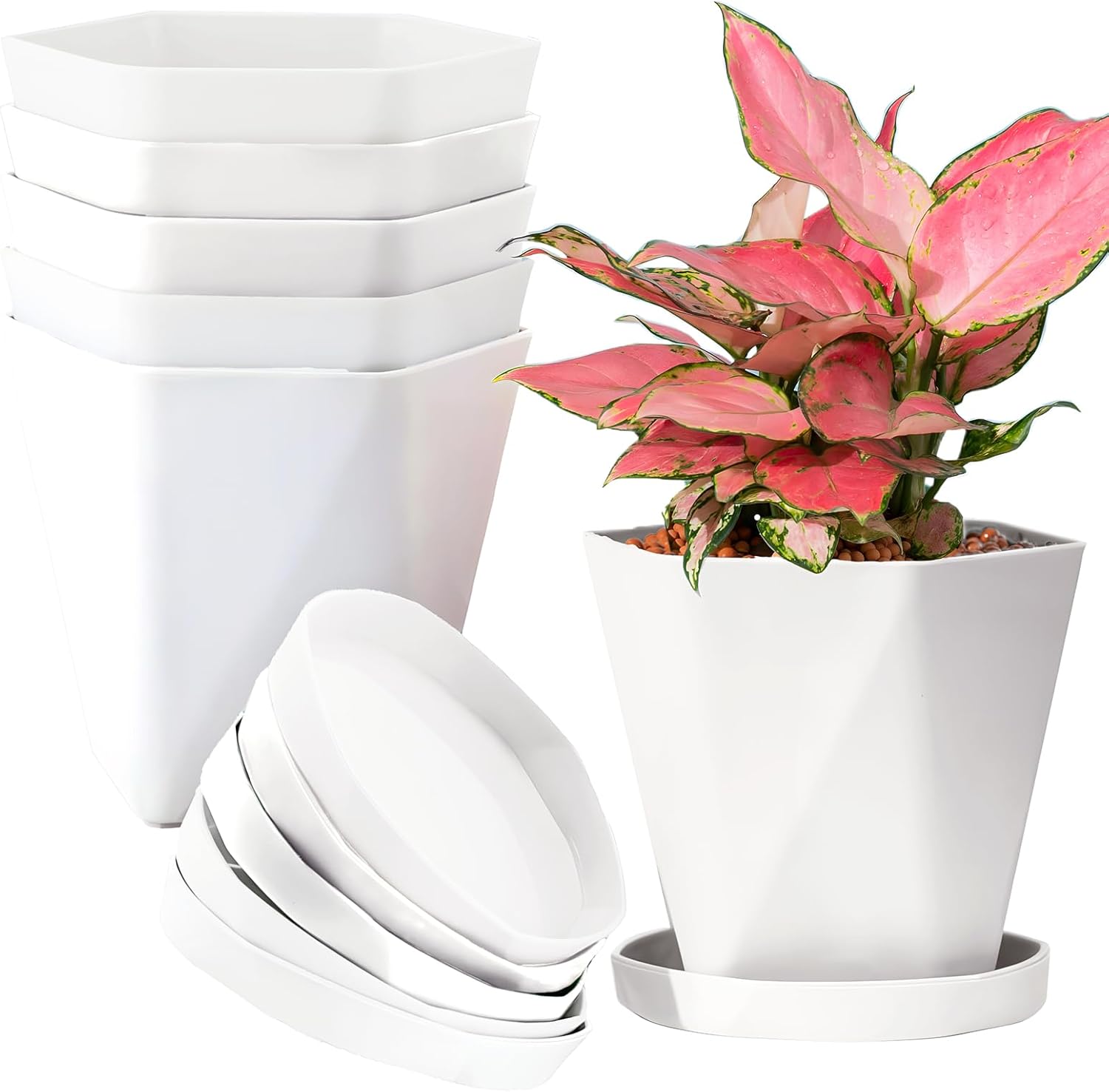 InmeRun Plant Pots Indoor Plastic Flower Pots Outdoor 5 inch Set of 6 Pack with Drainage Holes and Saucers for Garden Pots (5in 6 White) White 5"(Pack of 6)