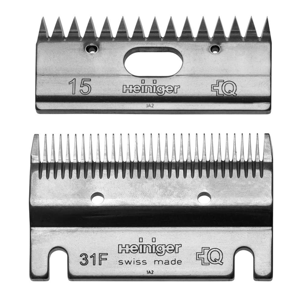 Busse – Lame, for All, corta 31 F/15